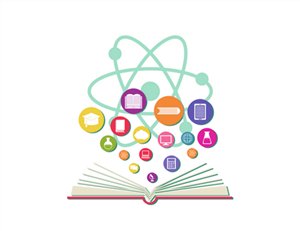 curriculum 